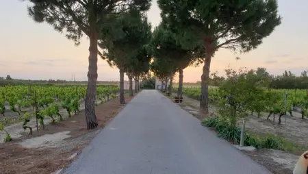 Maison accueillante Saint-Laurent 85 m² piscine partagée - Photo 12