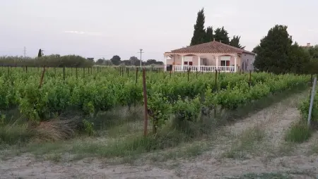 Maison accueillante Saint-Laurent 85 m² piscine partagée - Photo 14