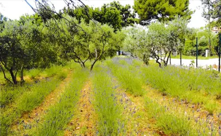 Appartement lumineux à Lançon-Provence, piscine partagée - Photo 14