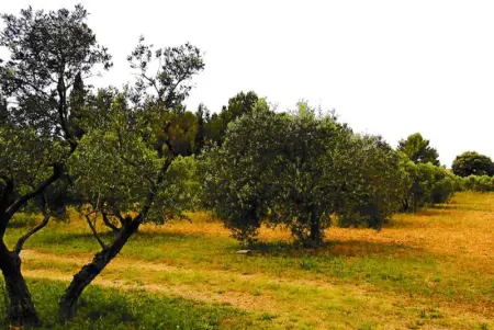 Appartement lumineux à Lançon-Provence, piscine partagée - Photo 16