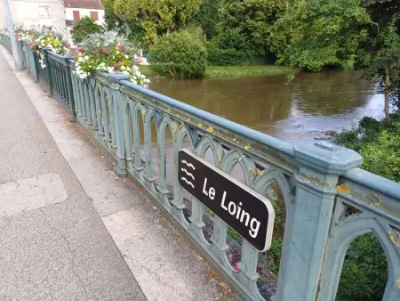 Charmant appartement à Montargis de 35 m² avec vue sur le lac - Photo 13