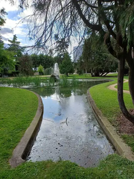 Charmant appartement à Montargis de 35 m² avec vue sur le lac - Photo 14