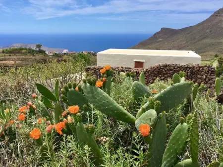 Maison spacieuse à Arona avec terrasse et jardin - Photo 20