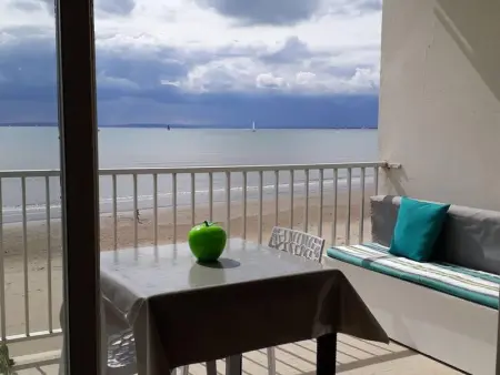 Appartement à Le Grau du Roi, Appartement chaleureux au Grau-du-Roi 45 m² avec vue mer et jardin - L1066501