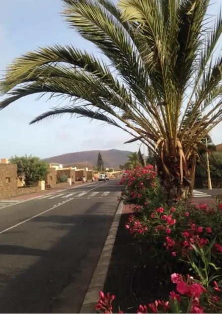 Appartement charmant La Oliva 30 m² + Terrasse, Appartement 2 personnes à La Oliva - Photo 16