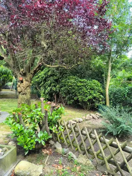 Maison charmante à Hoegaarden avec barbecue et jardin - Photo 20