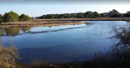 Maison conviviale à Lecci avec piscine partagée 70 m² 8 personnes - Photo 14