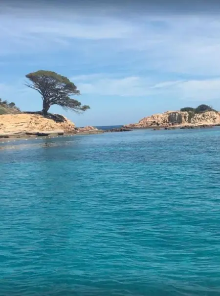 Maison conviviale à Lecci avec piscine partagée 70 m² 8 personnes - Photo 17