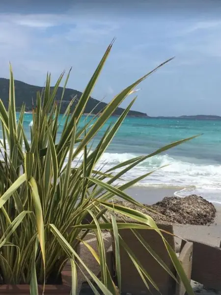 Maison conviviale à Lecci avec piscine partagée 70 m² 8 personnes - Photo 18
