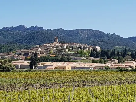 Villa spacieuse à Séguret avec piscine privée - Photo 21