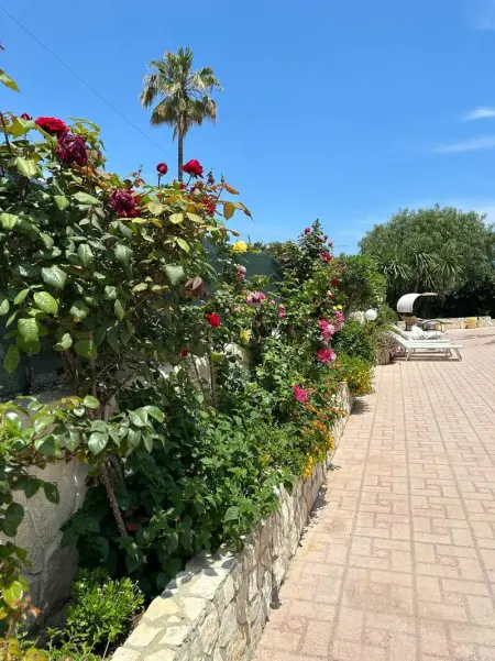 Villa de charme à Fontane Bianche avec piscine privée - Photo 28