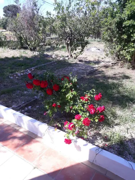 Maison charmante à Monchique avec piscine partagée - Photo 22