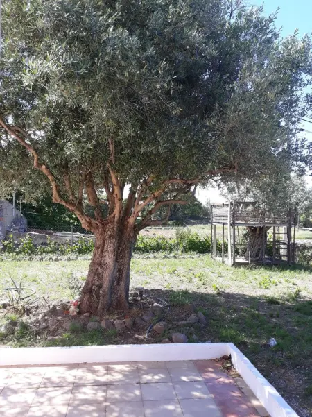 Maison charmante à Monchique avec piscine partagée - Photo 31