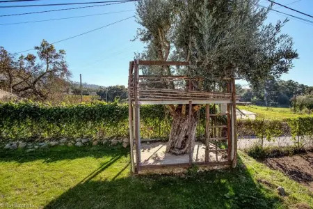 Maison charmante à Monchique avec piscine partagée - Photo 33