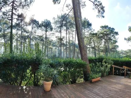 Villa landaise lumineuse avec jardin, proche plages et commerces à Piraillan - Photo 20