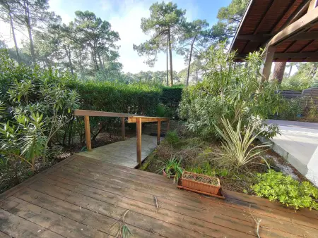 Villa landaise lumineuse avec jardin, proche plages et commerces à Piraillan - Photo 21