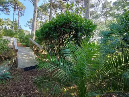 Villa landaise lumineuse avec jardin, proche plages et commerces à Piraillan - Photo 22