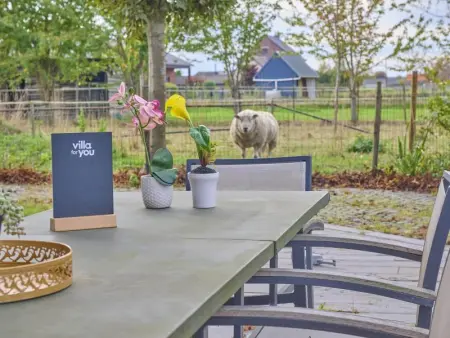 Quanto A, Maison 4 personnes à Geetbets - Photo 49