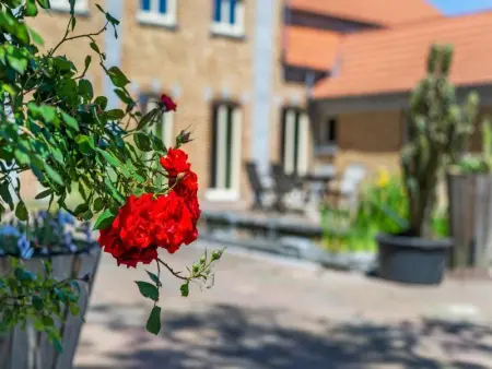 Quanto B, Maison 4 personnes à Geetbets - Photo 16