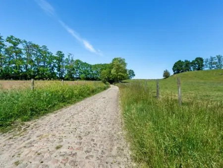 Quanto B, Maison 4 personnes à Geetbets - Photo 18