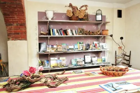 Iris, Appartement 6 personnes à Castiglione del Lago - Photo 15