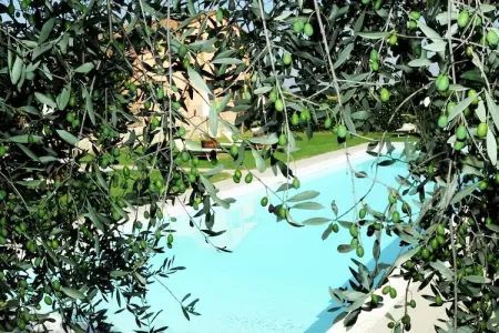 Iris, Appartement 6 personnes à Castiglione del Lago - Photo 34