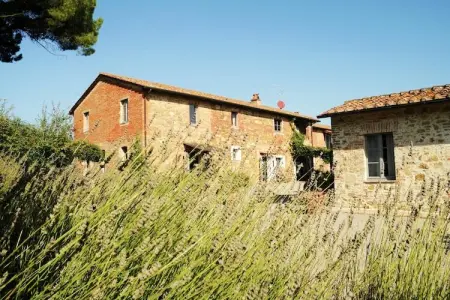Fiordalisi, Appartement 4 personnes à Castiglione del Lago - Photo 5