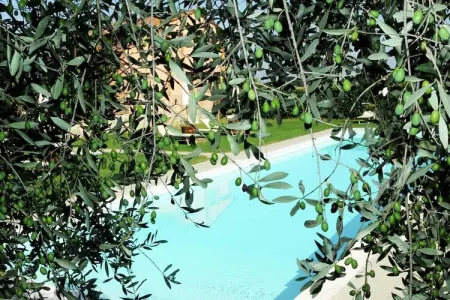 Fiordalisi, Appartement 4 personnes à Castiglione del Lago - Photo 6