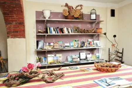 Fiordalisi, Appartement 4 personnes à Castiglione del Lago - Photo 15