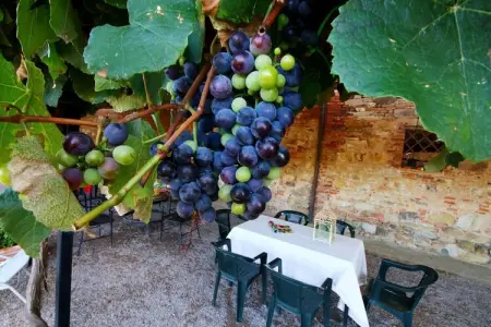 Fiordalisi, Appartement 4 personnes à Castiglione del Lago - Photo 24