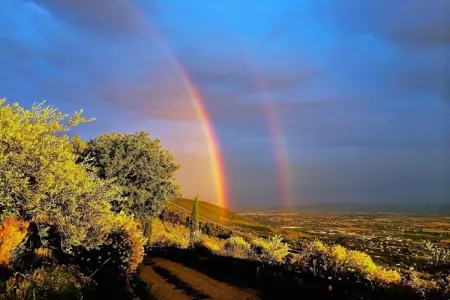 Fiordalisi, Appartement 4 personnes à Castiglione del Lago - Photo 38