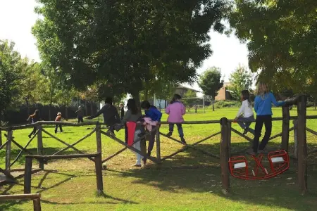 Girasoli, Appartement 4 personnes à Castiglione del Lago - Photo 20