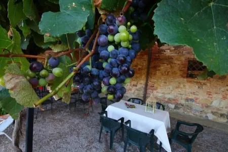 Girasoli, Appartement 4 personnes à Castiglione del Lago - Photo 27