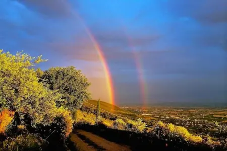 Girasoli, Appartement 4 personnes à Castiglione del Lago - Photo 31