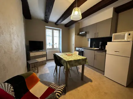 Studio centre La Roche-Posay, Wifi, parking gratuit - Photo 1