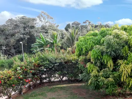 Appartement moderne à Ducos, idéal pour 4 personnes, 75 m² - Photo 18