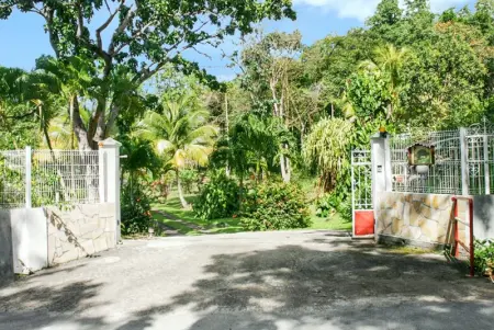 Appartement spacieux avec piscine à Deshaies 200 m² - Jardin privé - Photo 14
