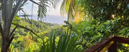 Maison charmante vue sur mer à Vieux-Habitants, Maison 4 personnes à Vieux Habitants - Photo 12