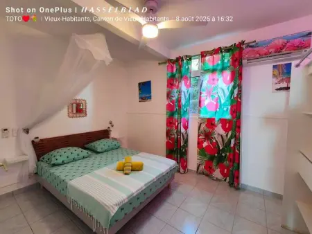 Maison charmante vue sur mer à Vieux-Habitants, Maison 4 personnes à Vieux Habitants - Photo 29