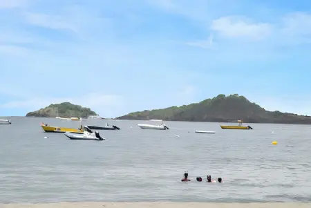 Studio avec vue sur mer à Marigot - 30 m² - Jardin - Photo 9