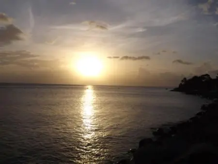 Studio avec vue sur mer à Marigot - 30 m² - Jardin - Photo 11