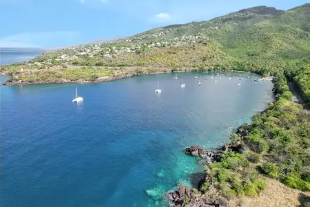 Studio avec vue sur mer à Marigot - 30 m² - Jardin - Photo 13