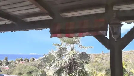 Studio avec vue sur mer à Marigot - 30 m² - Jardin - Photo 14