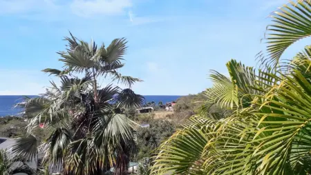 Studio avec vue sur mer à Marigot - 30 m² - Jardin - Photo 15