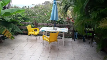 Studio avec vue sur mer à Marigot - 30 m² - Jardin - Photo 16