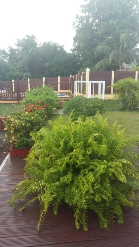 Maison conviviale à Saint-François avec piscine partagée - Photo 27