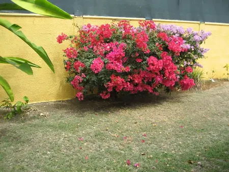 Maison conviviale à Saint-François avec piscine partagée - Photo 36