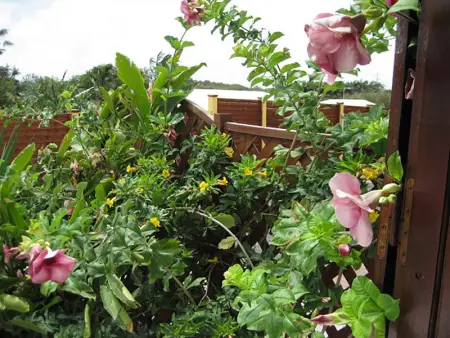 Maison conviviale à Saint-François avec piscine partagée - Photo 37