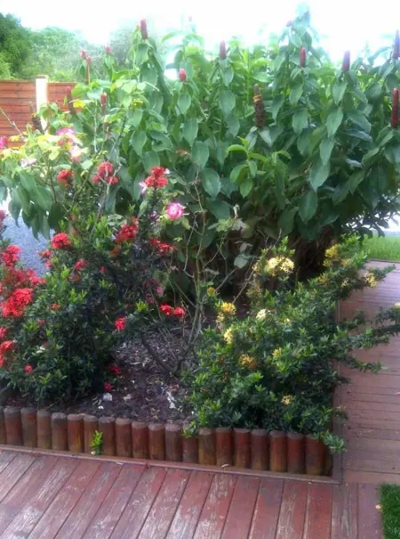 Maison conviviale à Saint-François avec piscine partagée - Photo 38