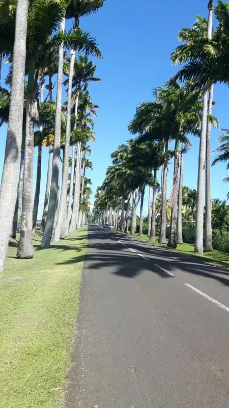 Maison conviviale à Saint-François avec piscine partagée - Photo 46